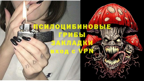 apvp Алексеевка
