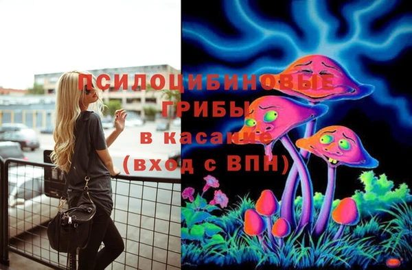 сатива Алексин