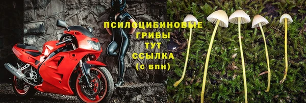 сатива Алексин