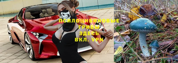 сатива Алексин